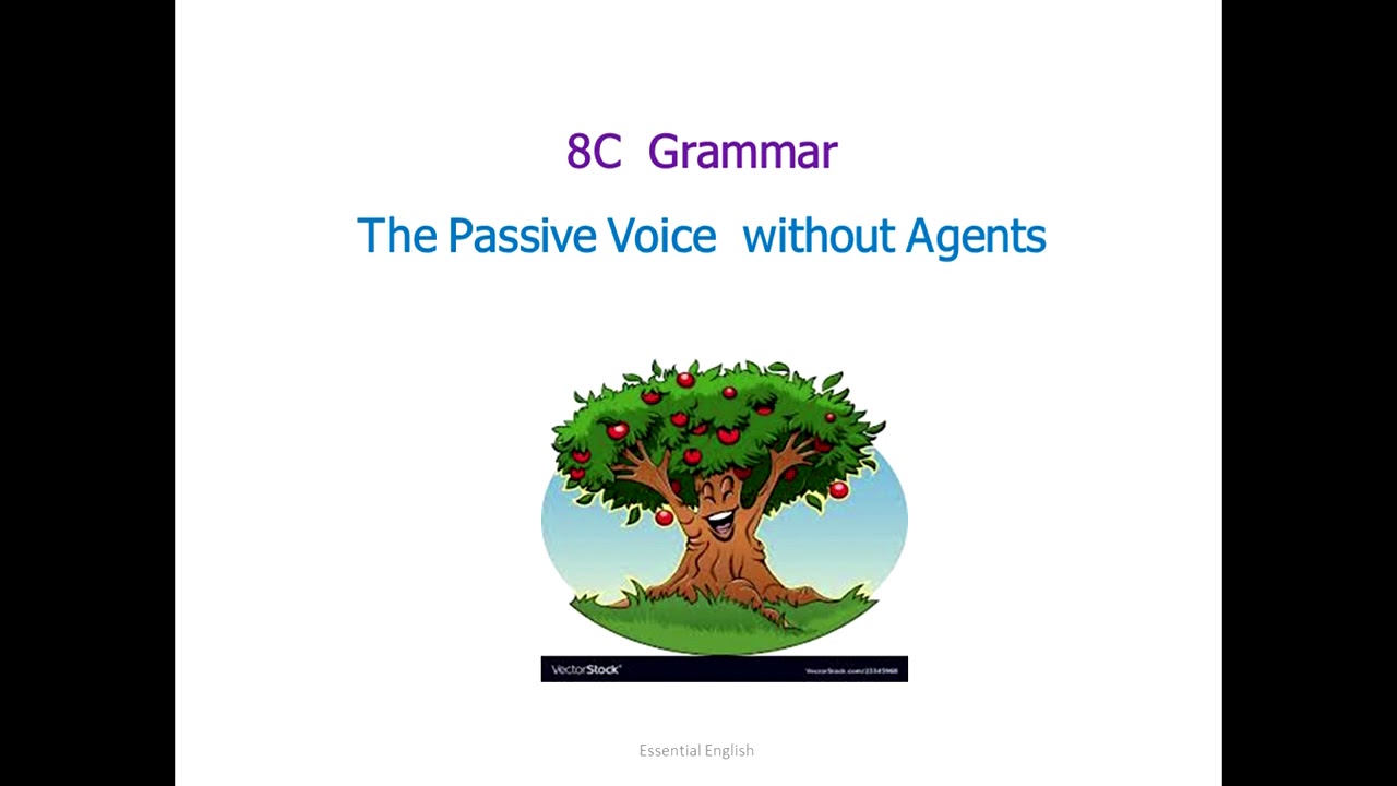 Unit 8 (Grammar)