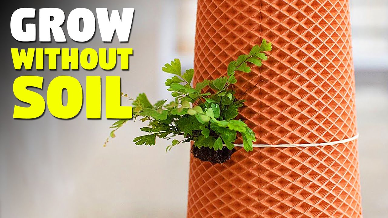 Redesigned Planter Pot Allows Soil-Free Plant Parenting!