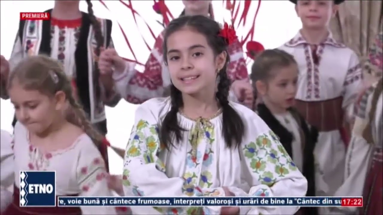 Carla Pavel - Ramurica de brad verde