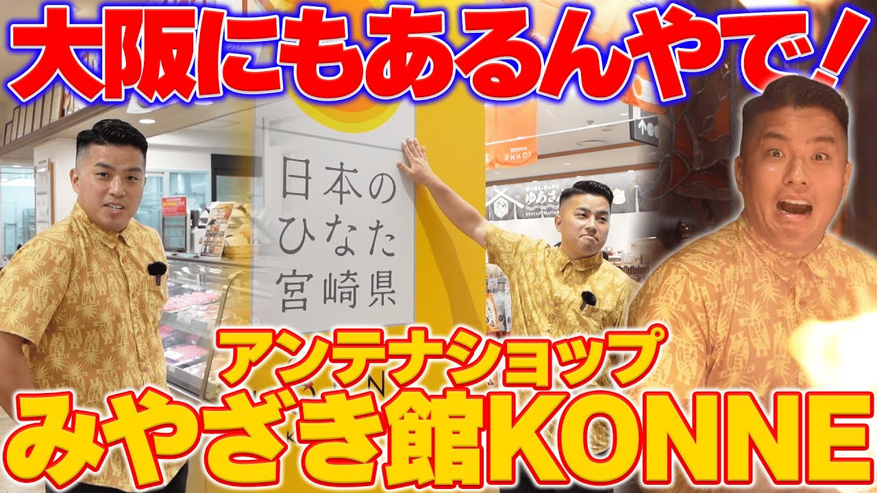 【関西おすすめ】大阪にもあるよ！みやざき館KONNE🔥
