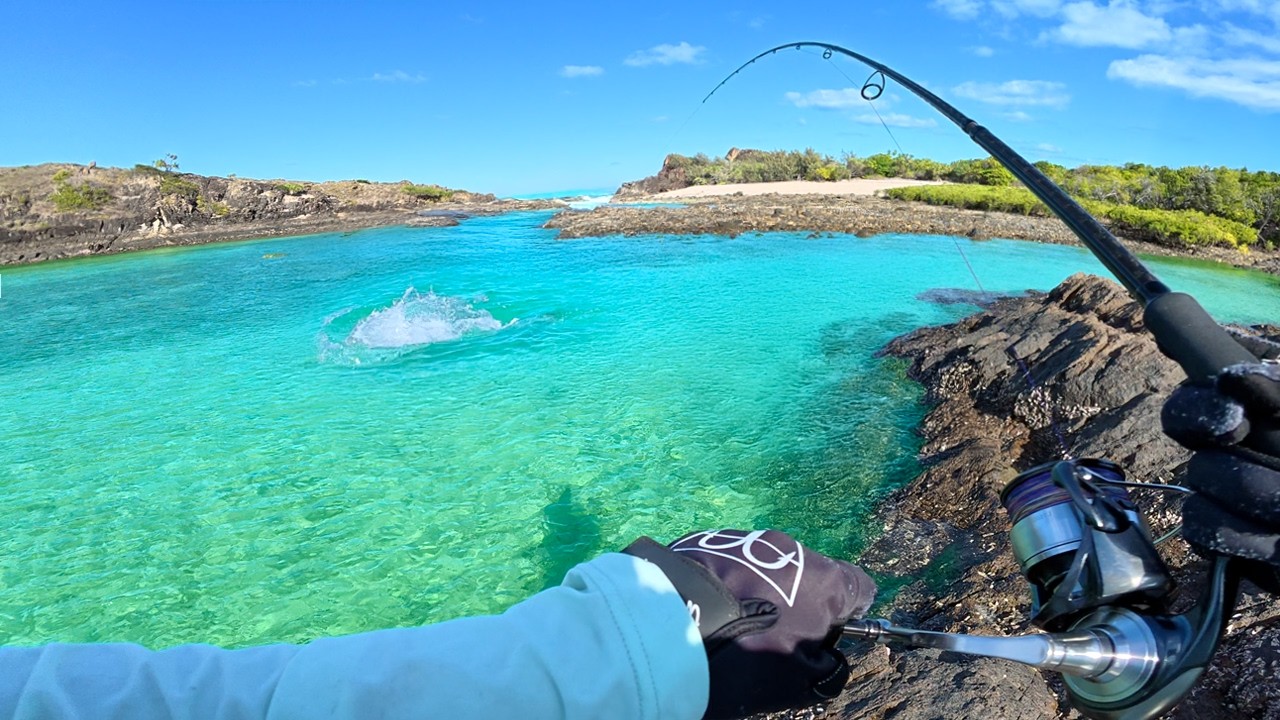 Finally a CATCH AND COOK!