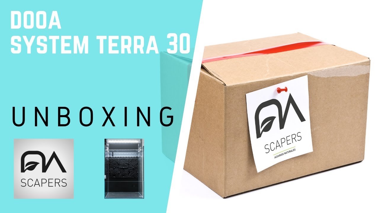 DOOA System Terra 30 | Unboxing