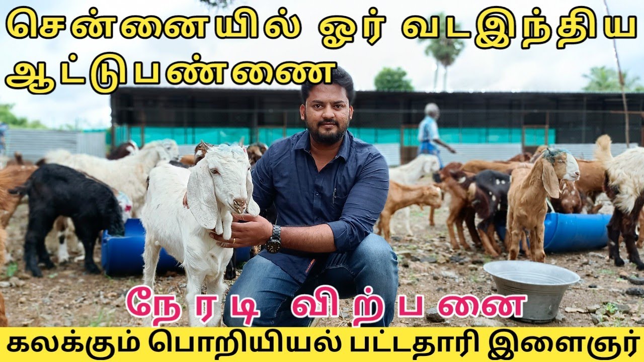 சென்னையில் வடஇந்திய ஆட்டுபண்ணை கிலோ.ரூ.350 அசத்தும் பட்டதாரி இளைஞர்