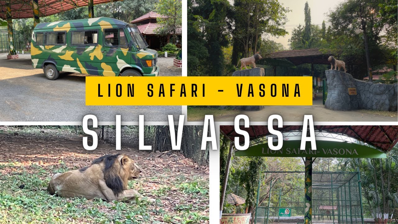 Lion Safari - Vasona, Silvassa |Jungle Safari | RWP Mehra