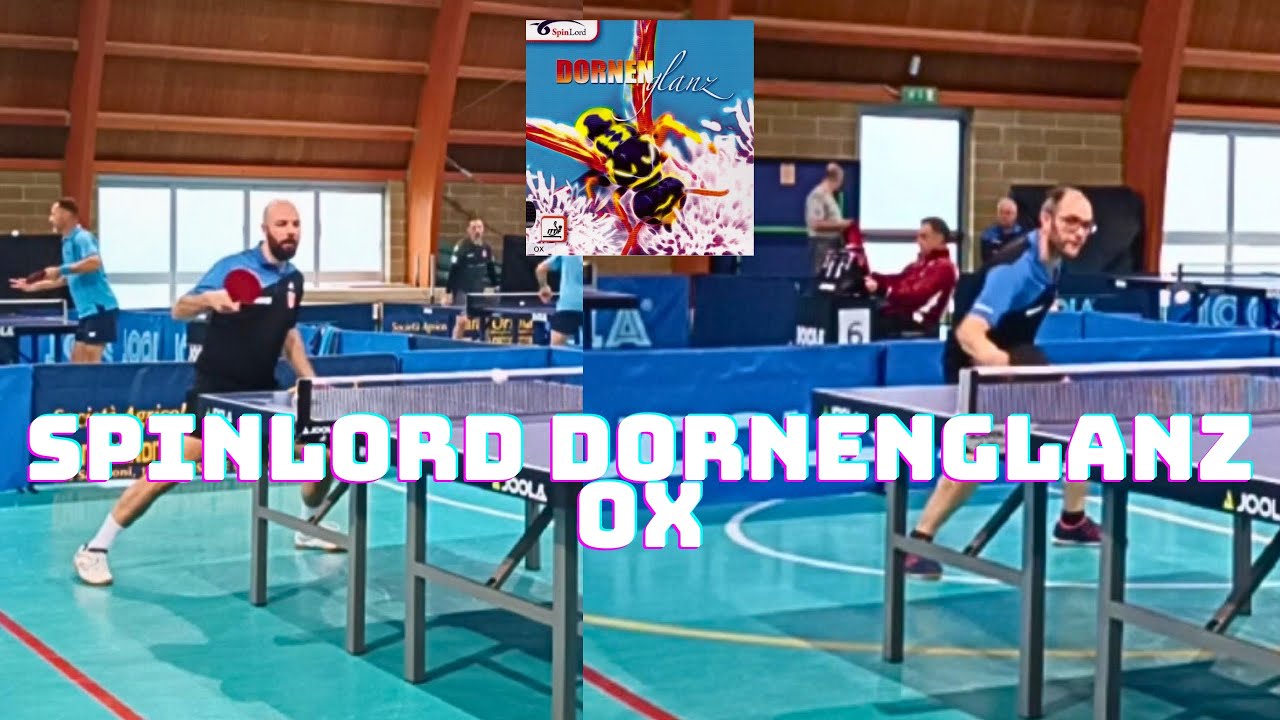 SPINLORD DORNENGLANZ LONG PIPS OX | TABLE TENNIS MATCHES OF THE ZAMPIERI BROTHERS 🏓