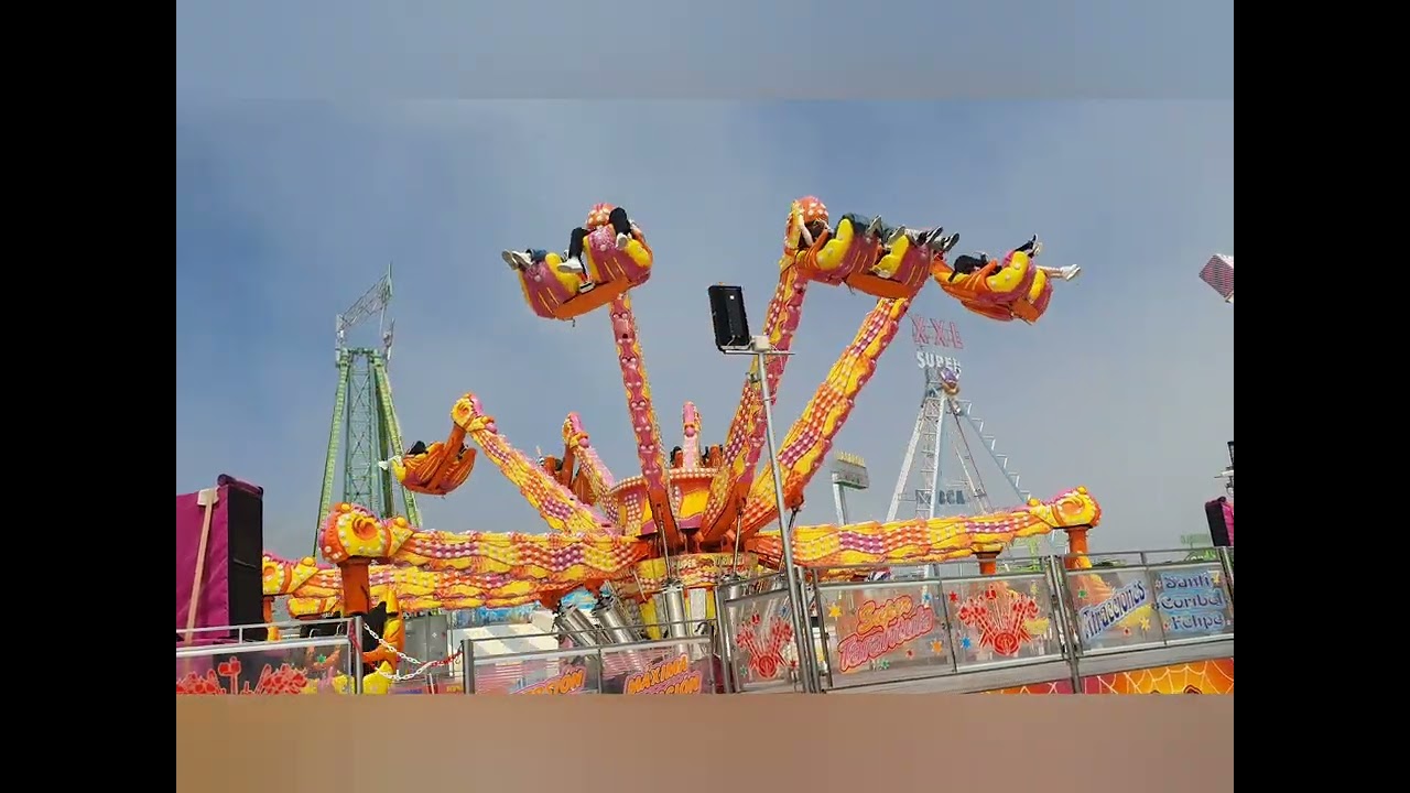 Tarantula 🕸🕷Feria de Abril 2024