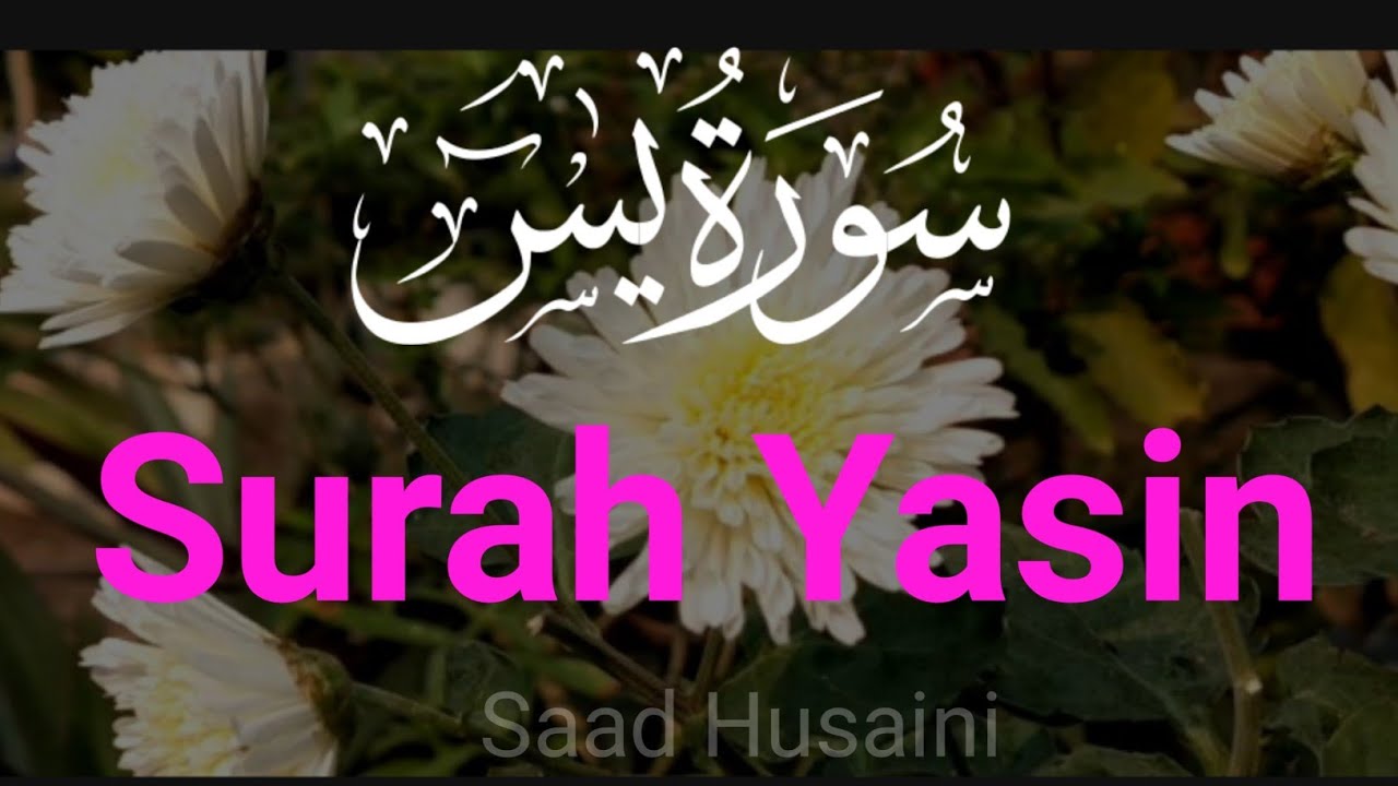 The Heart of Quran Surah Yasin Surah Rahman Surah Waqiah Surah mulk Ep 47