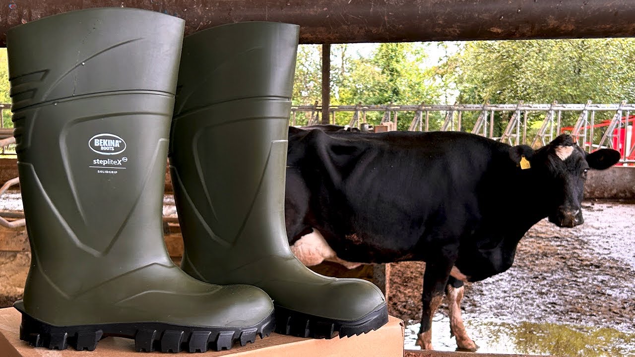 My New Bekina Boots Arrive!