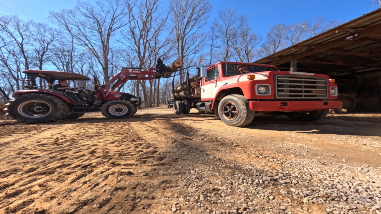 Cutting Trees and Hauling Logs.