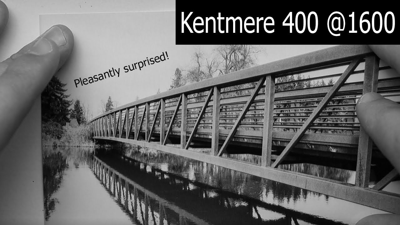 Kentmere 1600 400 + 2 Push
