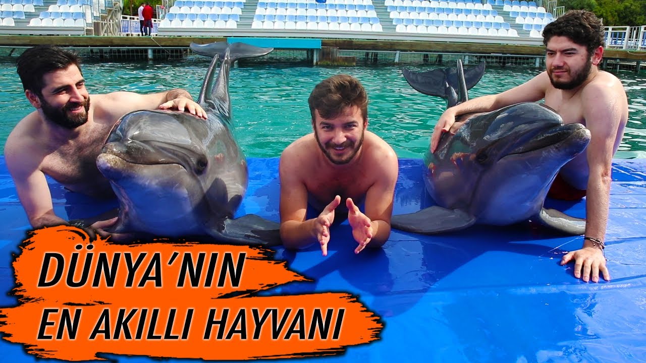 DÜNYANIN EN ZEKİ HAYVANI İLE BİR GÜN GEÇİRDİK!