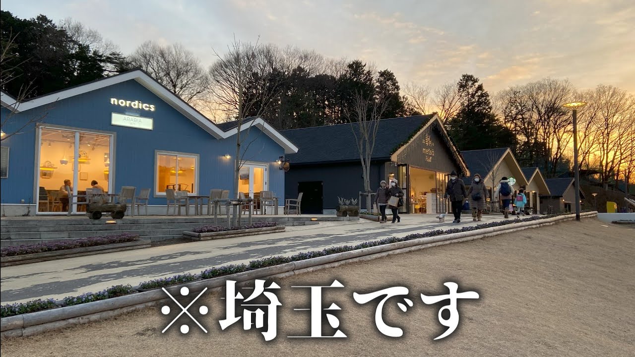 飯能がフィンランドになった理由【VOICEVOX解説】