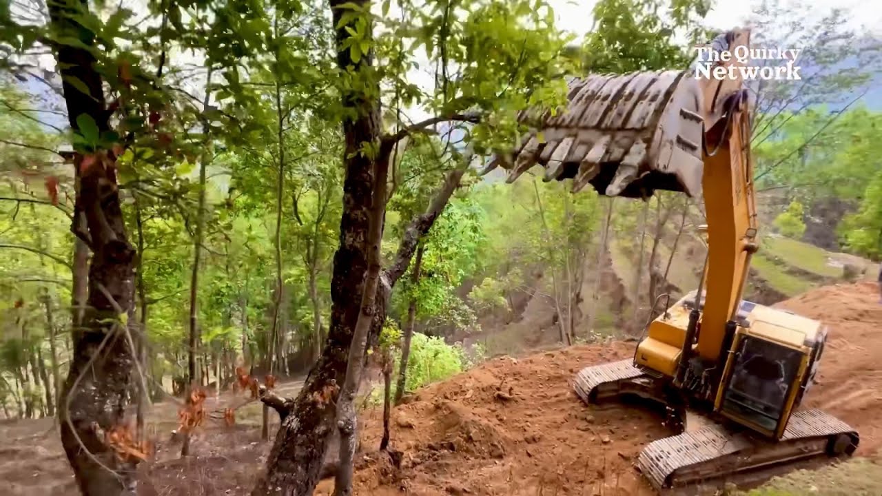 Building a Mountain Road Destroyed Many Trees