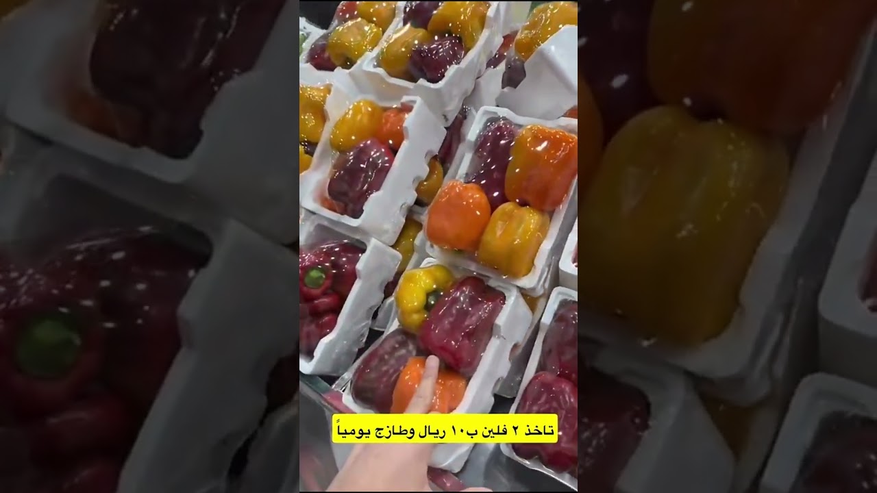 لابد من المدح والقماره😂 سنابات ابونمر