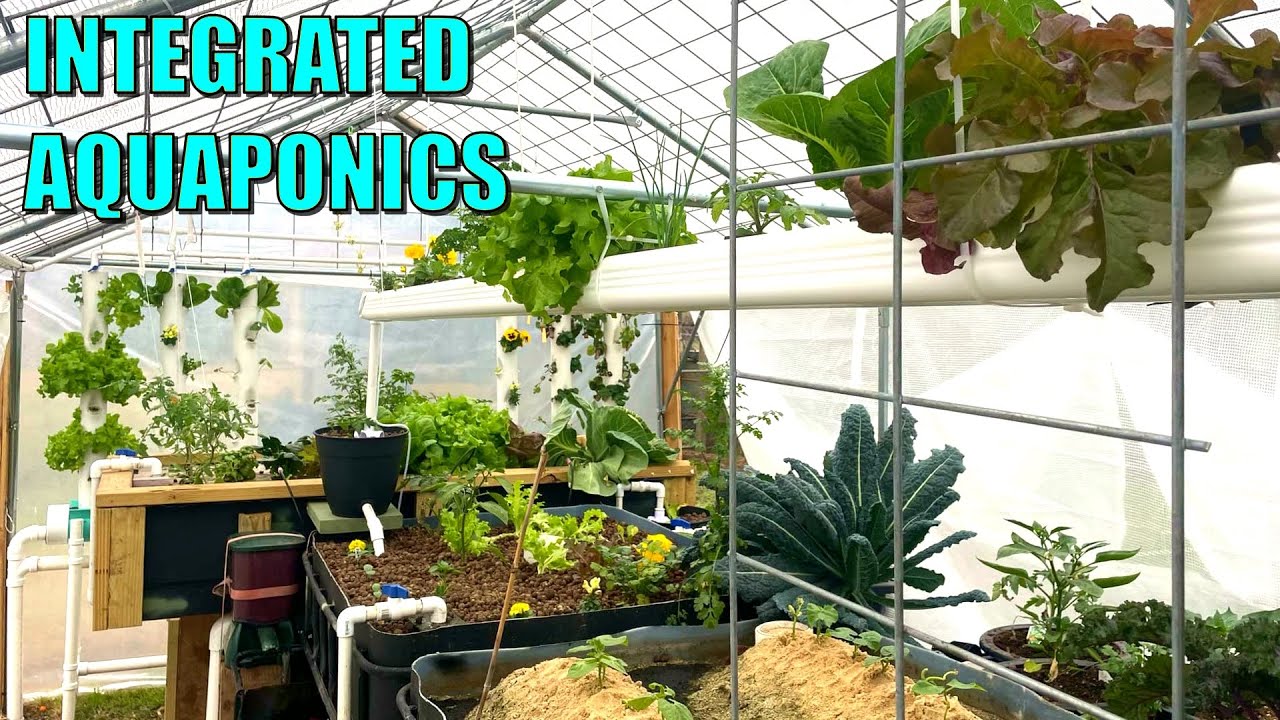 AWESOME Aquaponics System with DWC, NFT, DRZ, Sand Beds + MORE - Kerrville Texas USA