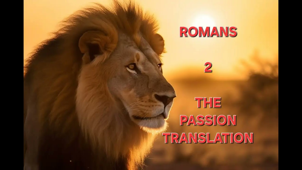 Romans 2 The Passion Translation TPT Audio Bible 