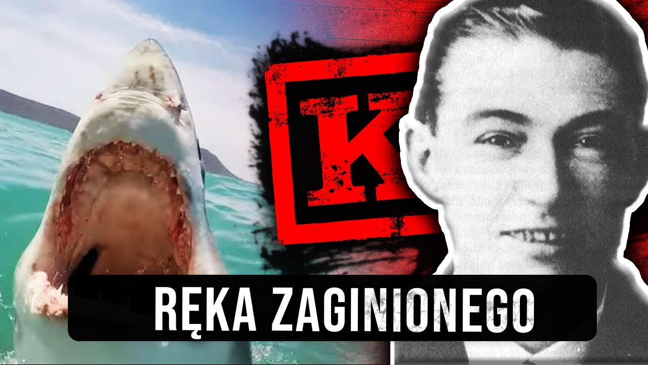 Śledztwo z REKINEM w tle. NAJDZIWNIEJSZA sprawa z Australii