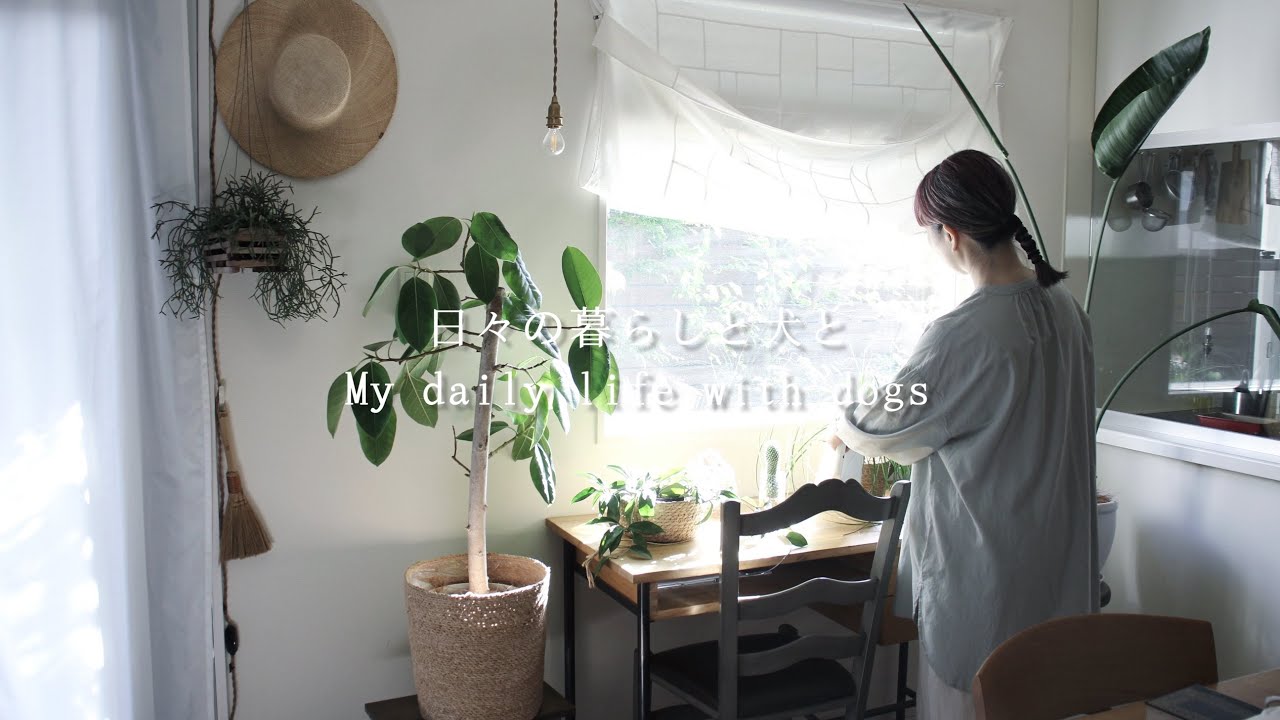 暮らし/ 夏の模様替えと朝時間/ My daily life with dogs