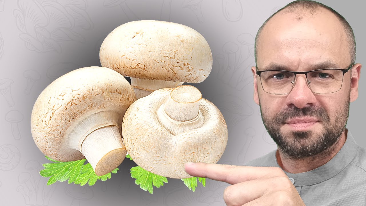 Już 1 sztuka potęguje ODPORNOŚĆ na wirusy i bakterie.