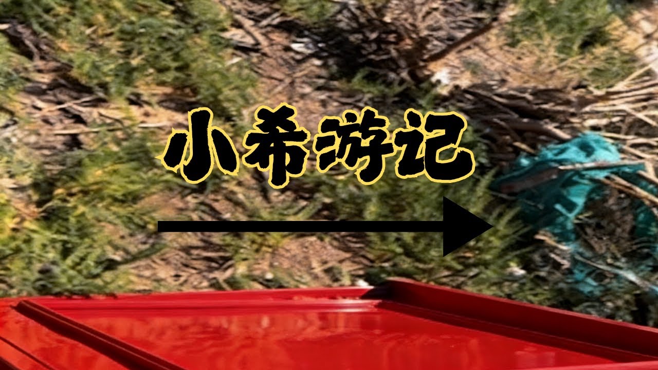 希游记上线！沉浸式解琐野外生存，在流浪与冒险中探寻未知🌿# 野外生存 #流浪 #冒险