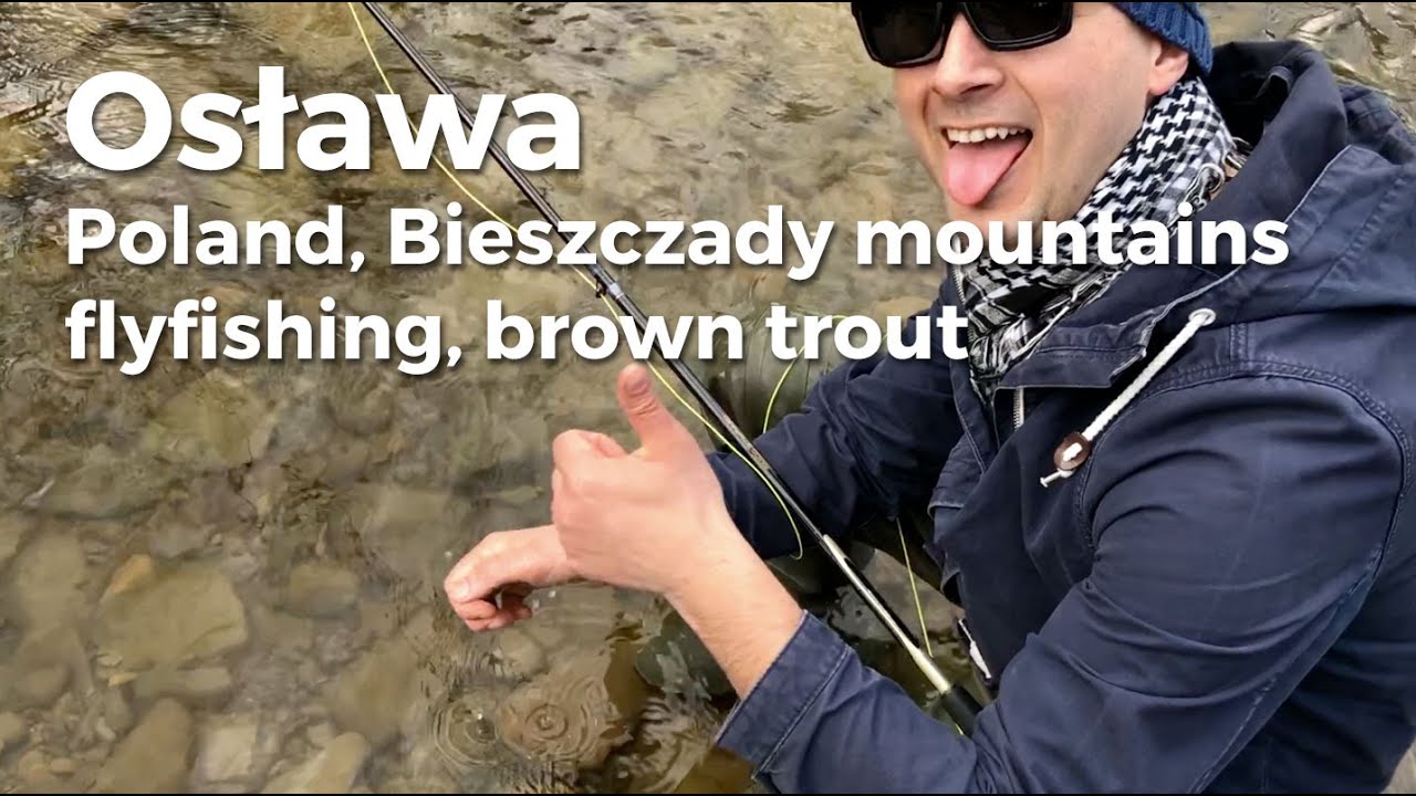 Rzeka Osława, Bieszczady. Pstrąg potokowy na sztuczną muchę. Poland flyfishing, Brown Trout.