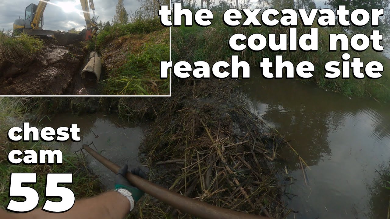The Excavator Could Not Reach The Site - Manual Beaver Dam Removal No.55 - Chest Cam