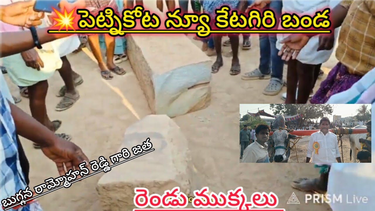 🚩17/2/2026 పెట్నికోట న్యూ కేటగిరి 8 జత బుగ్గన రామ్మోహన్ రెడ్డి గారు బేతంచెర్ల గ్రామం నంద్యాల జిల్లా