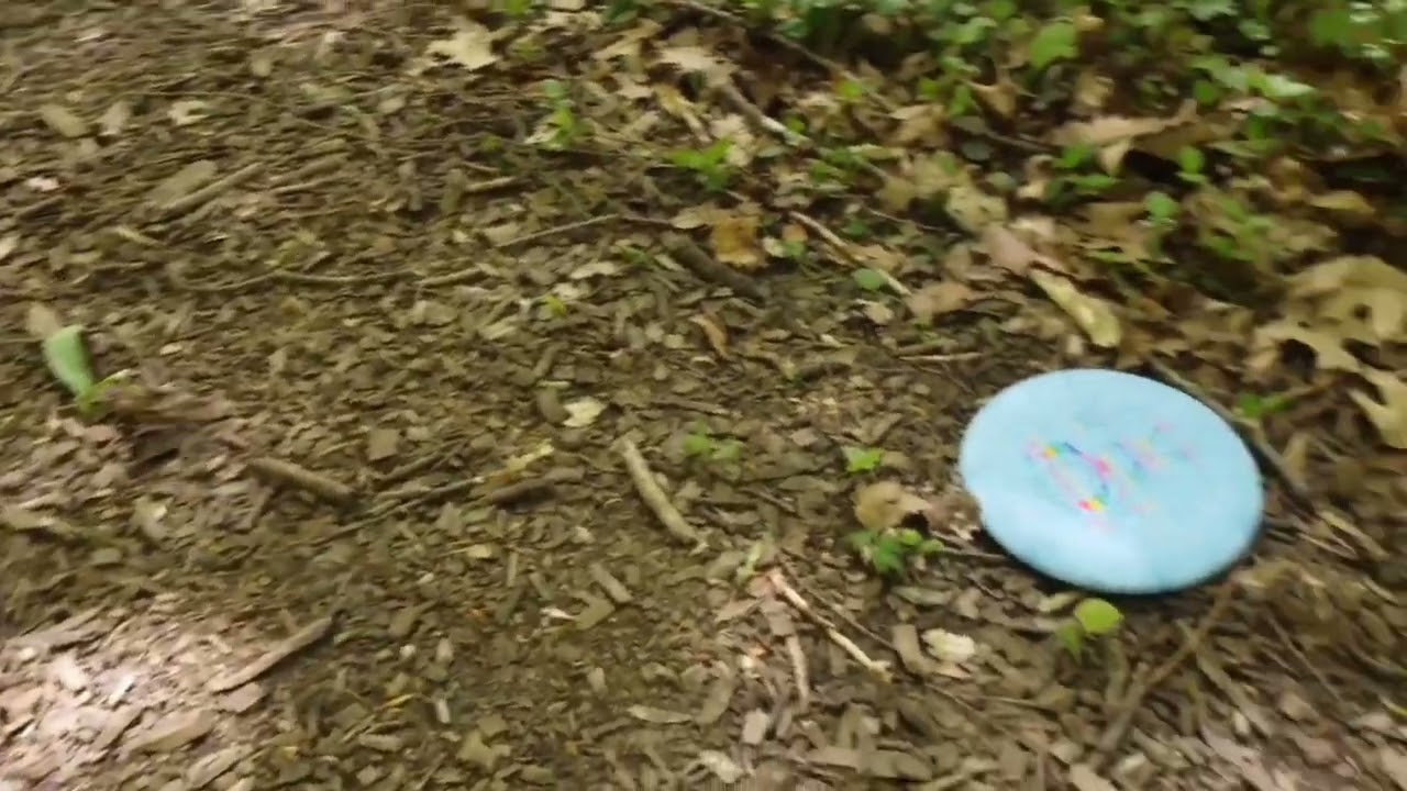 Boom DG 1v1 Showdown at Brown Deer Disc Golf Course in Milwaukee, Wisconsin
