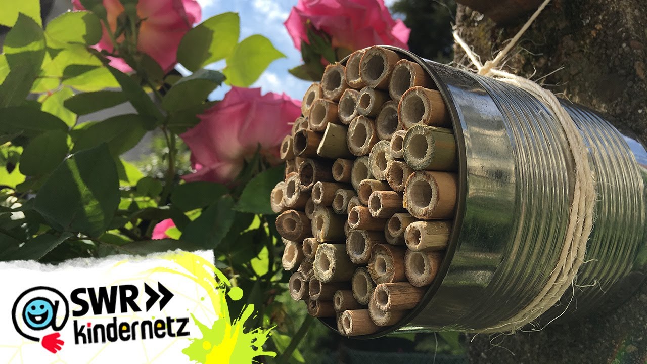 DIY-Tipp: Bienenhotel bauen