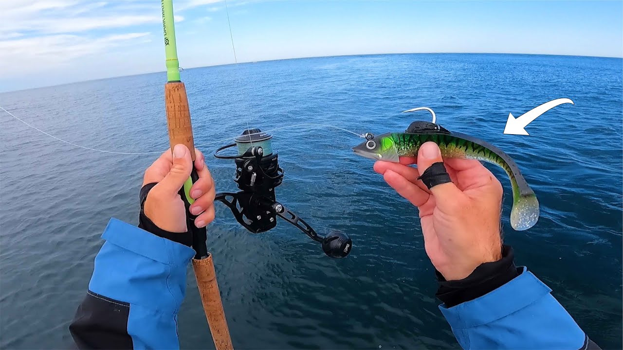 BIG FISH любит скумбрию — рыбалка с Монтаука на остров Блок
