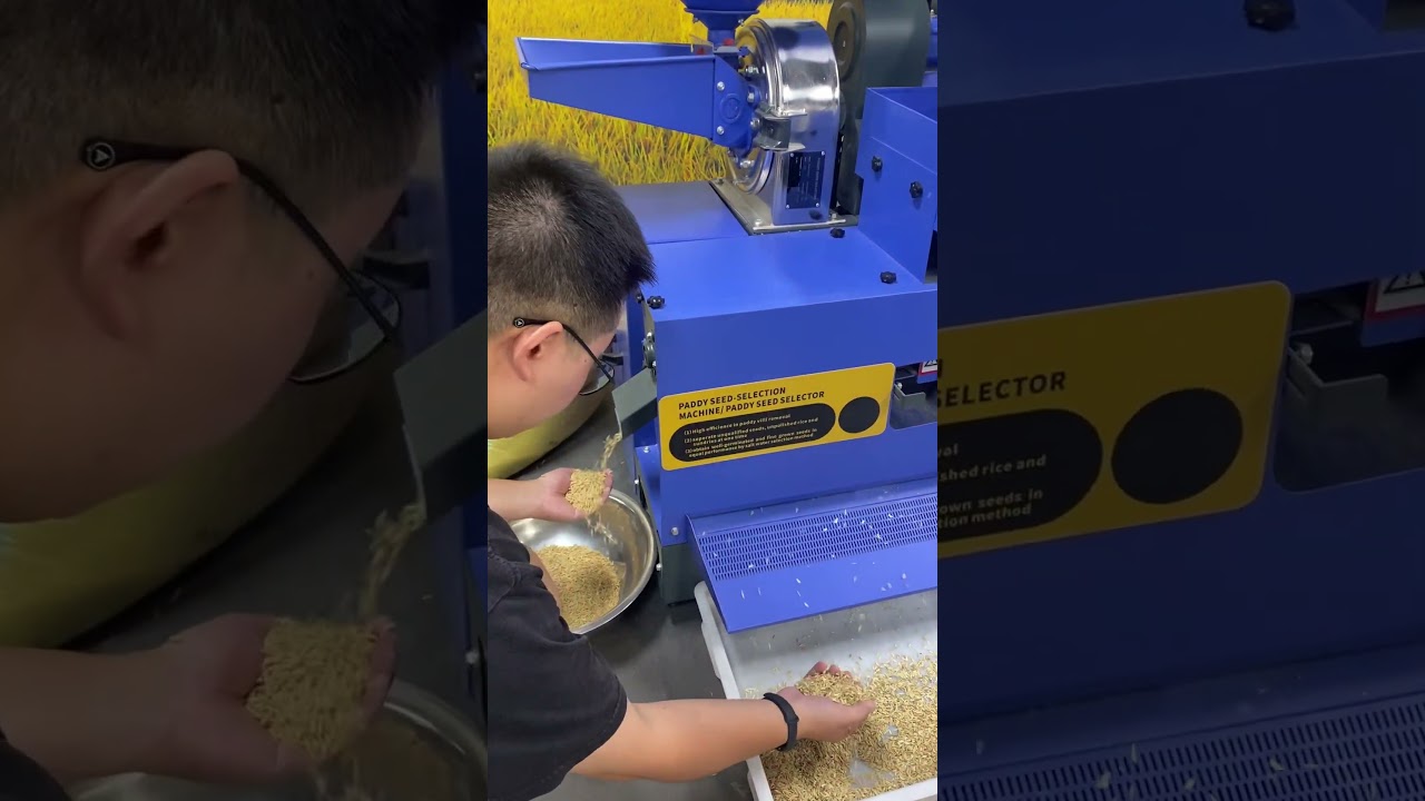 The seed hulling and sorting machine can efficiently remove bacteria and insect eggs from rice awns
