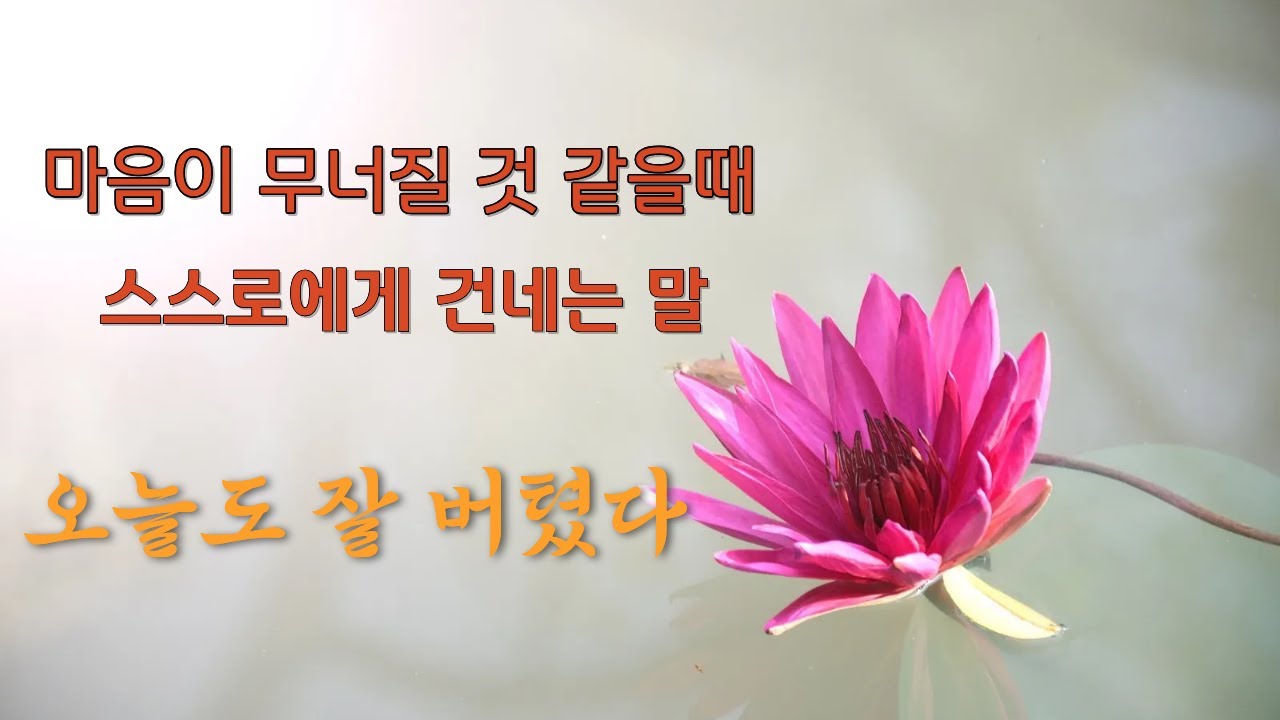 [🌸마음연꽃 상담소] 통장·건강·자식 걱정으로 잠이 안 올 때 ｜외로움·불안 내려놓는 마음챙김 ｜불안 진정 루틴