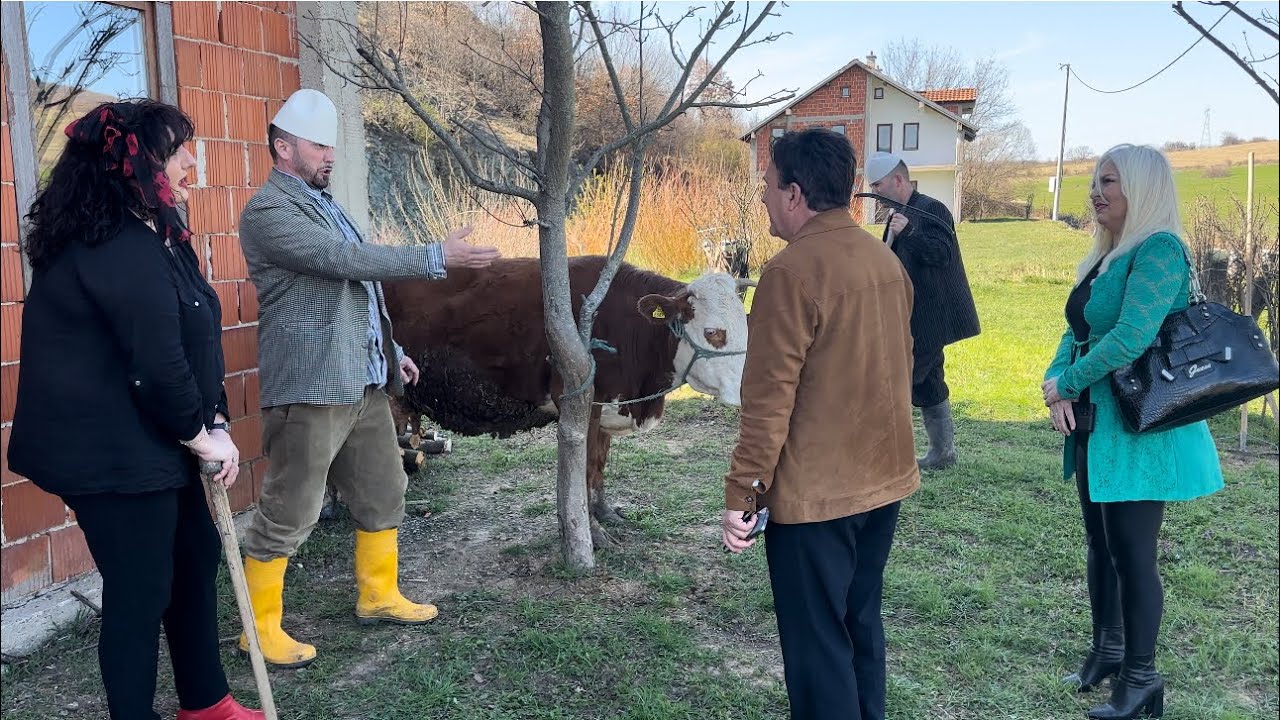Kalem tugjari e shet lopen