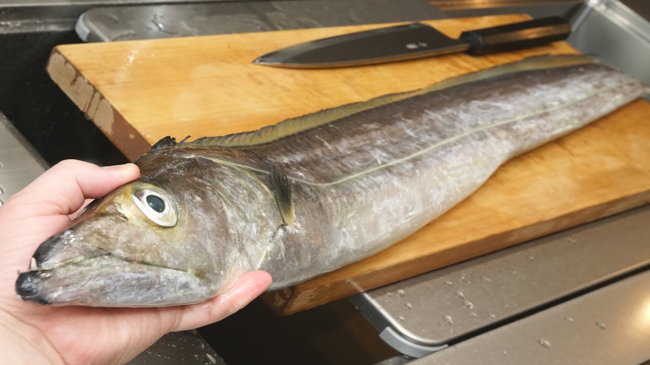 巨大タチウオ(ドラゴン)のさばき方と刺身（焼き霜造り）とアラ煮の作り方