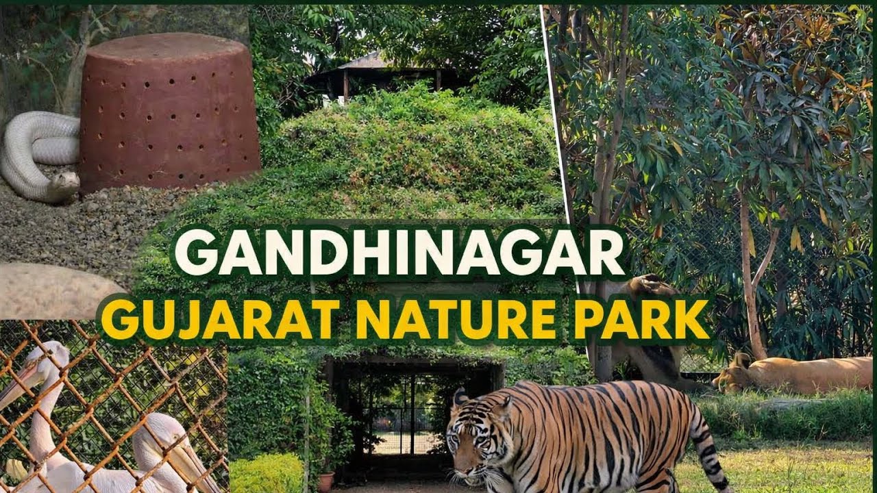 Gujarat Travel Vlog 05/13 | Bus Journey to Gandhinagar Nature Park & Sabarmati Ashram