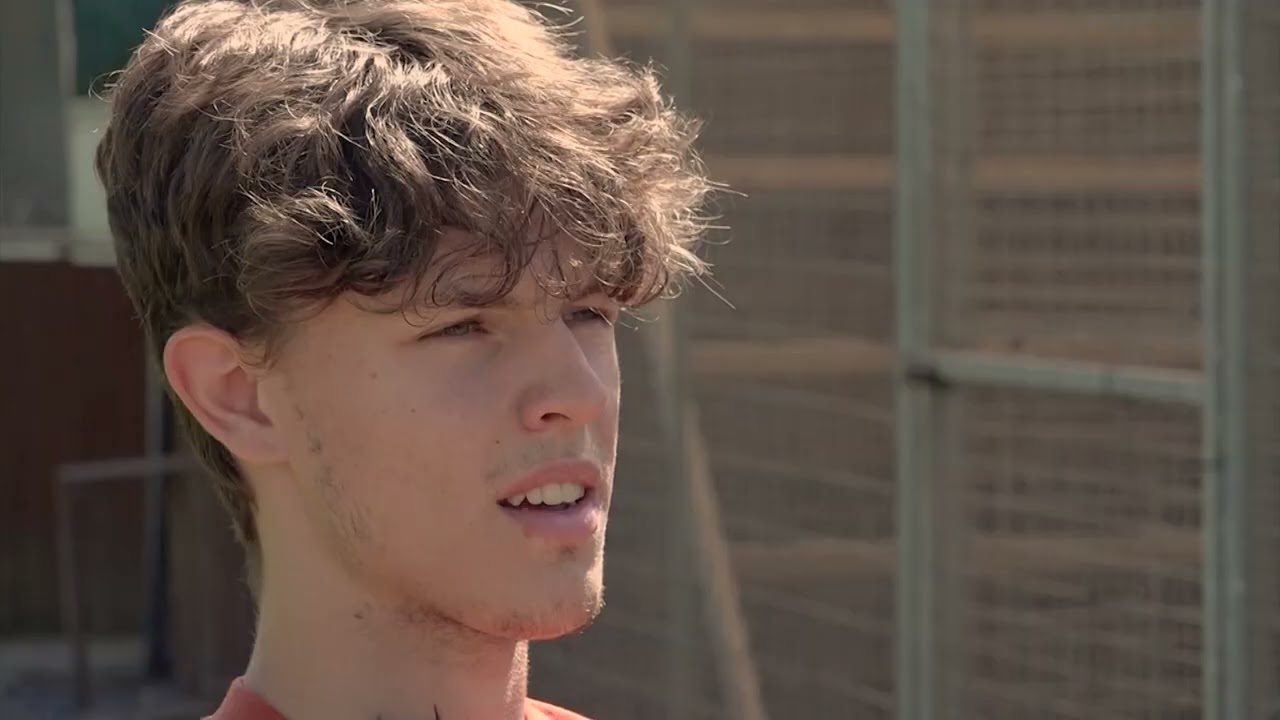 Le pigeon Belge: nouveaux talents Bart & Zion Verbruggen