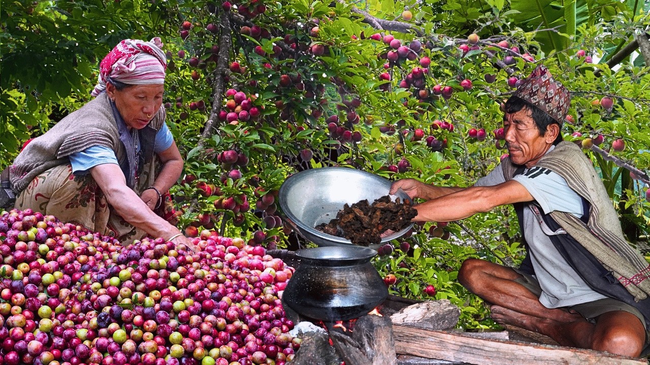 Traditional Plum Wine Making in Nepal Village | Organic Mountain Life
