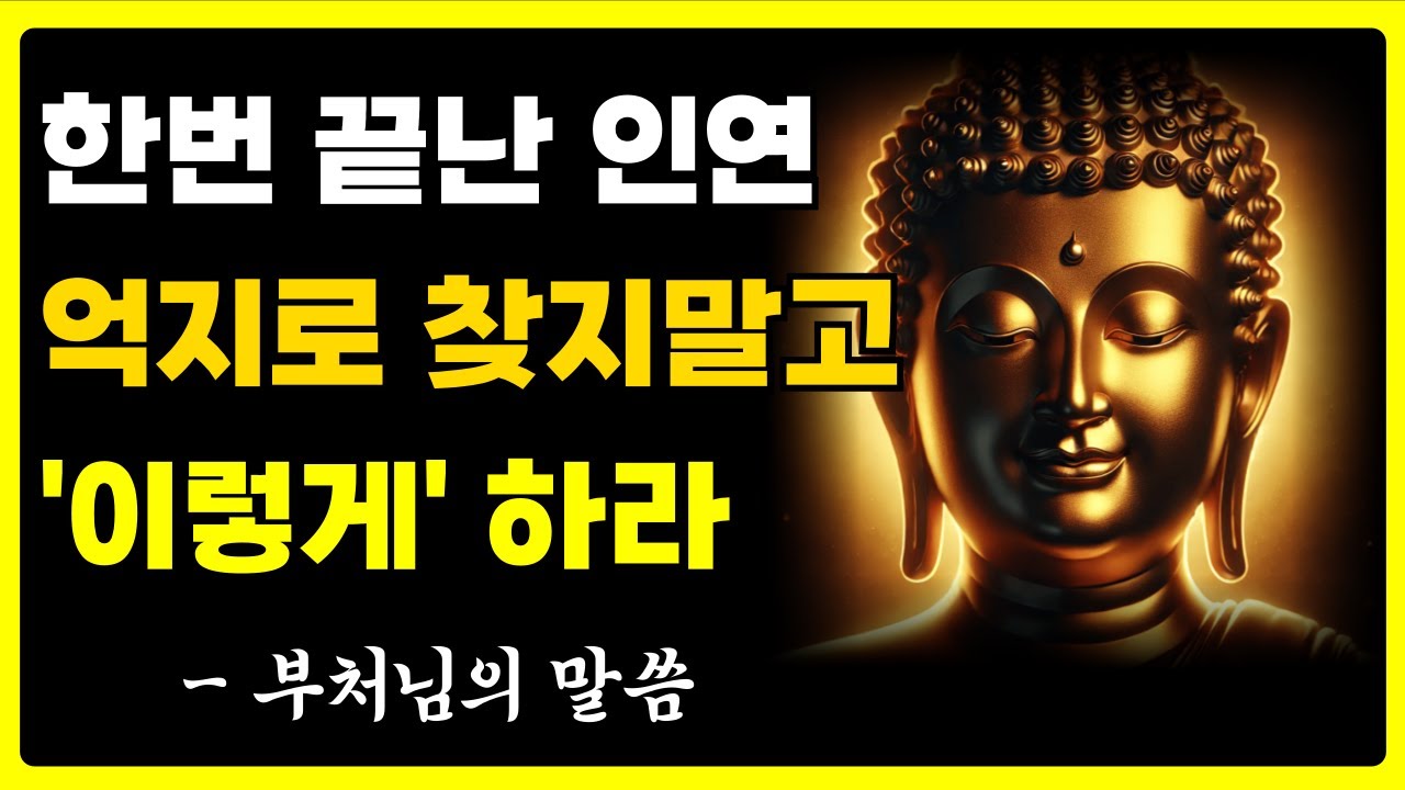 한번 끝난 인연은 붙잡지 마라 | 멀어진 사람을 다시 찾을 필요가 없는 이유 | 자면서 듣는 부처님 말씀 | 석가모니 | 불교 명언 | 불교 오디오북