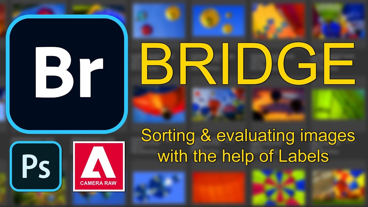 Bridge 002 - Sorting and Evaluating using Labels