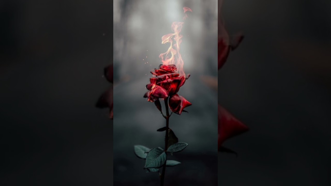 Onyedi Kır Zincirleri (Bu Gece)