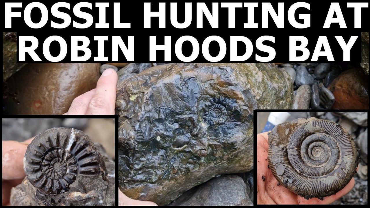 FOSSIL HUNTING at ROBIN HOODS BAY - Yorkshire Jurassic coast.