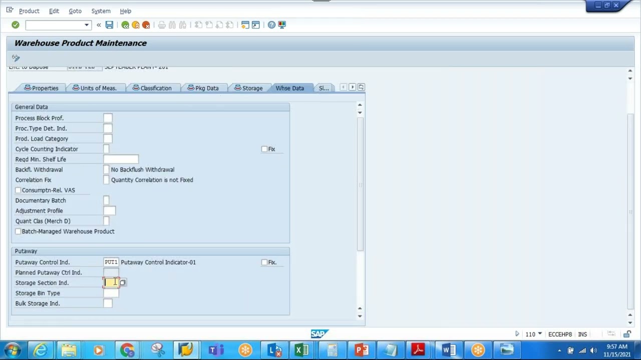 Session 22 Putaway Strategies 03  Storage Section Search