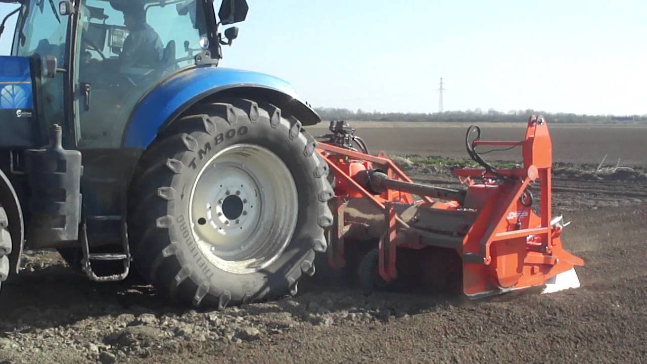 Struik frees RF 456