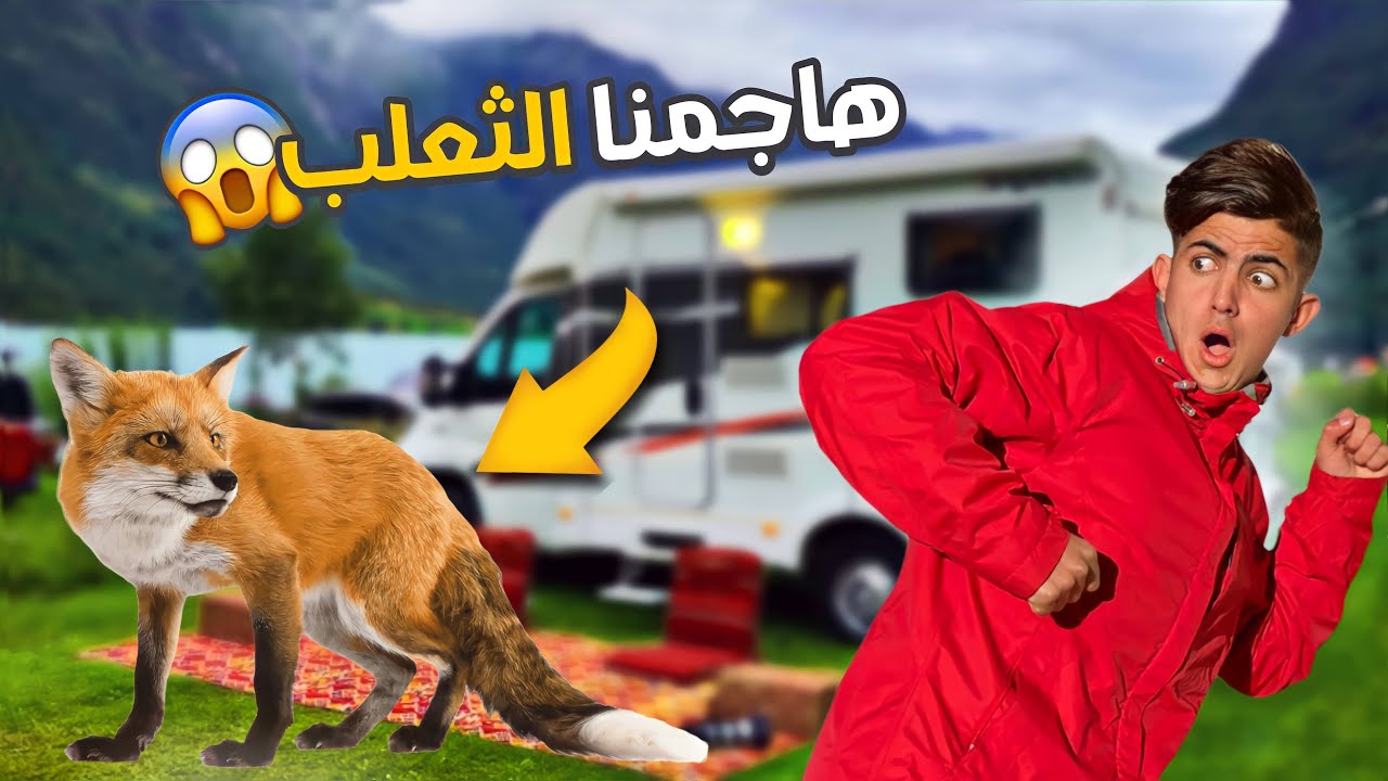 هاجمنا الثعلب في وسط الغابة 🏕️🦊 كانت نهاية غير متوقعة 😱