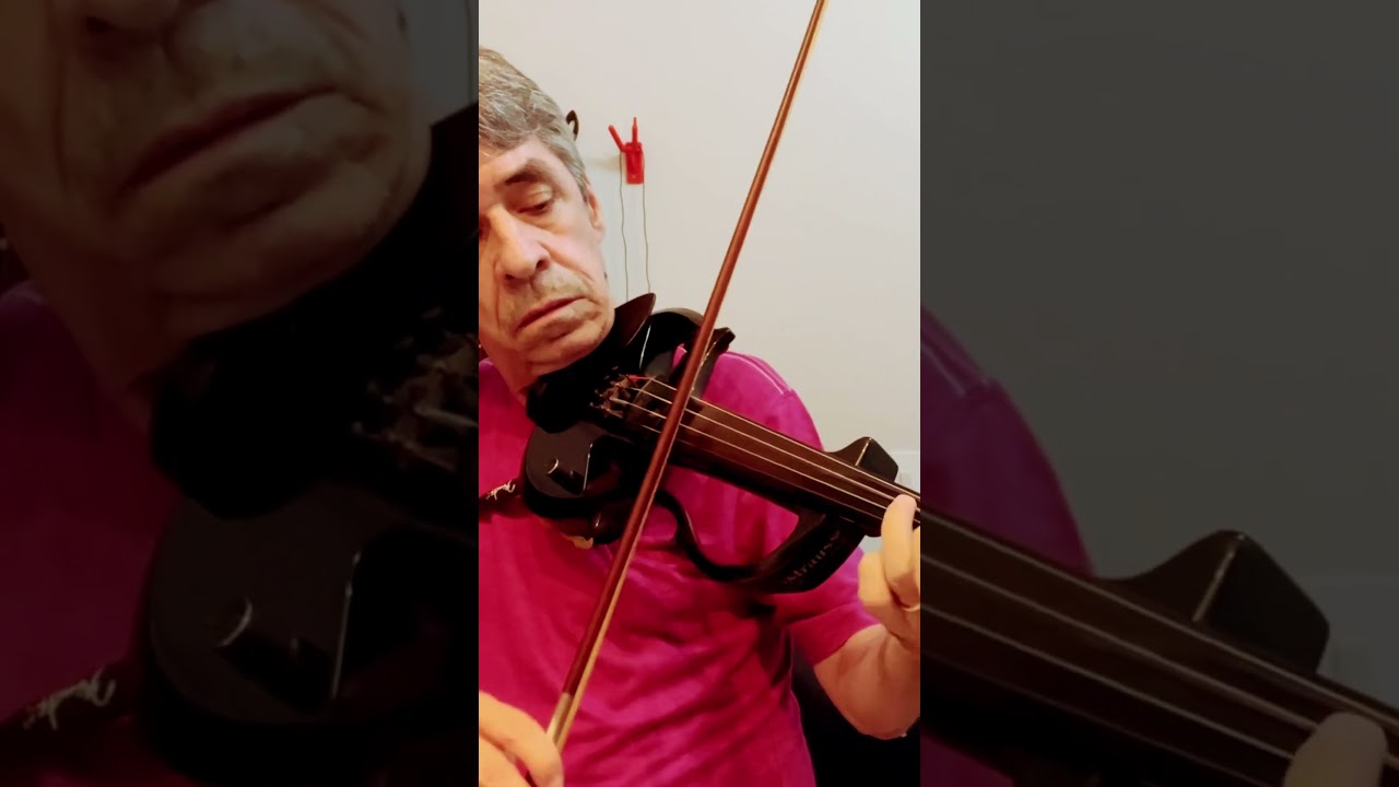 Buch violin 🎻 cover &ldquo;How deep is your love ❤️ &ldquo; by Bee Gees