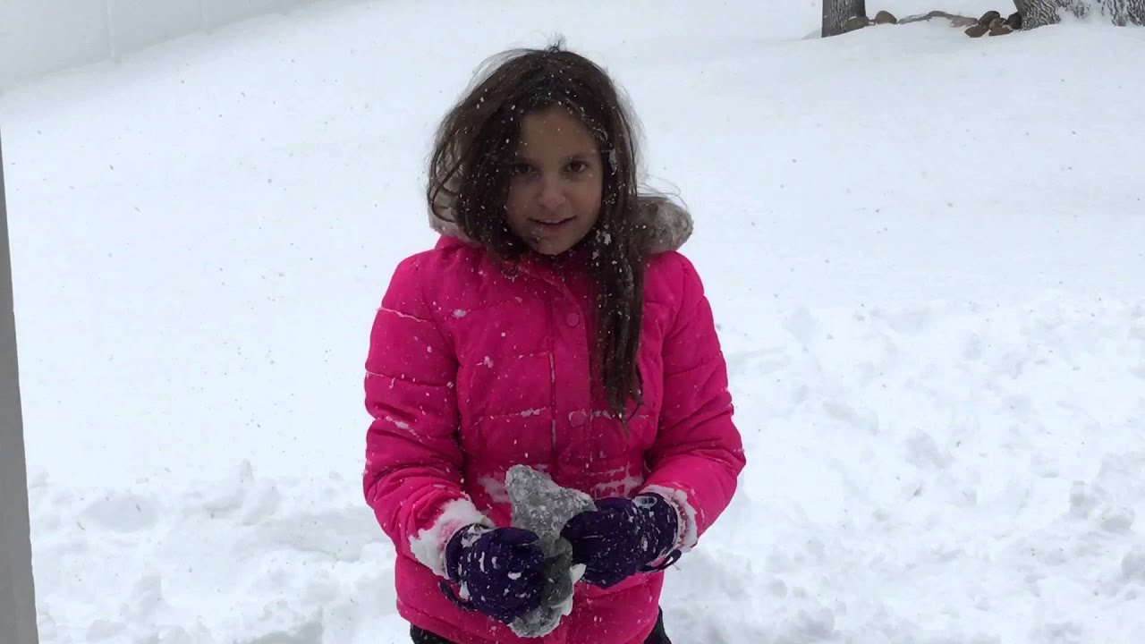 #blizzard2016