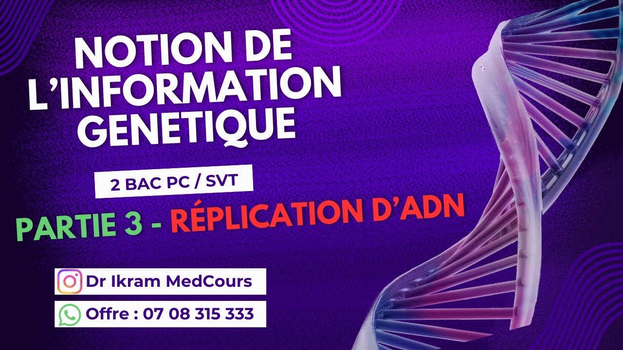 Notion de l'information génétique 2 BAC PC/SVT - Réplication d'ADN (Partie 3)