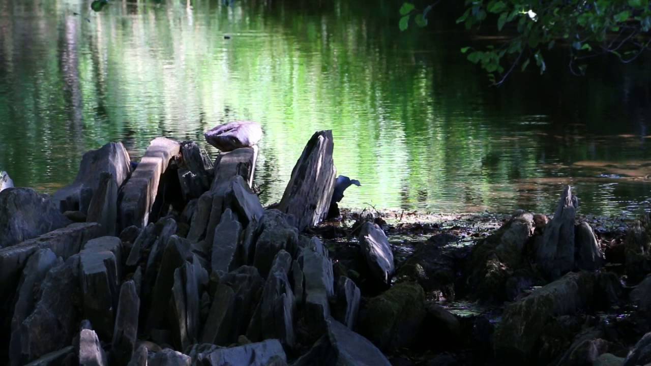 Piscina natural La Codosera