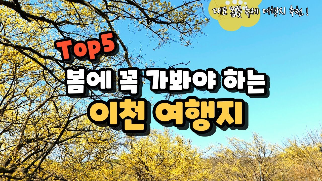 [이천크리에이터] 봄에 꼭 가봐야 하는 이천 여행지 / 산수유마을 / 반룡송 / 맛집 / 카페 / 설봉온천