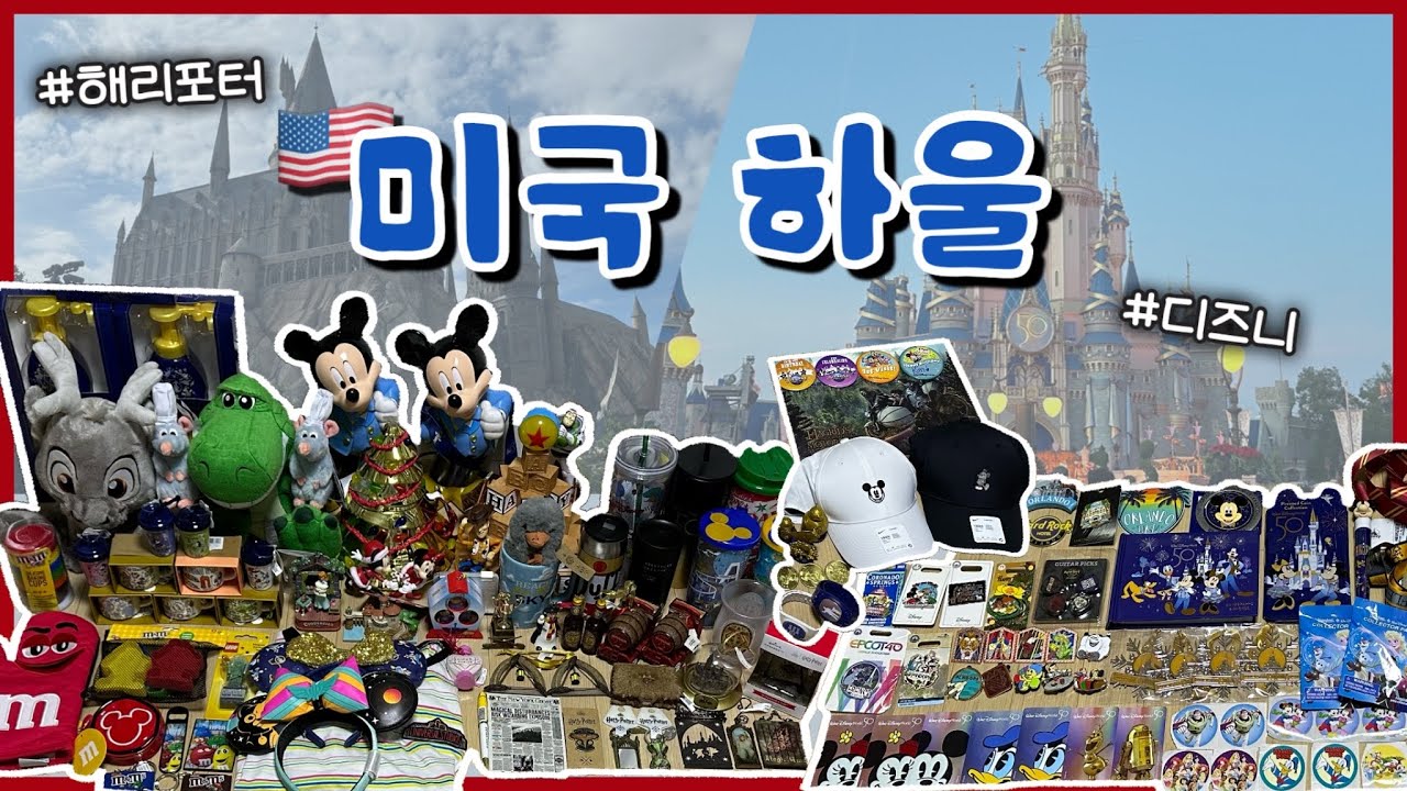 뉴욕부터 올랜도, 디즈니부터 해리포터까지 싹 다 털어 온 하울🛍